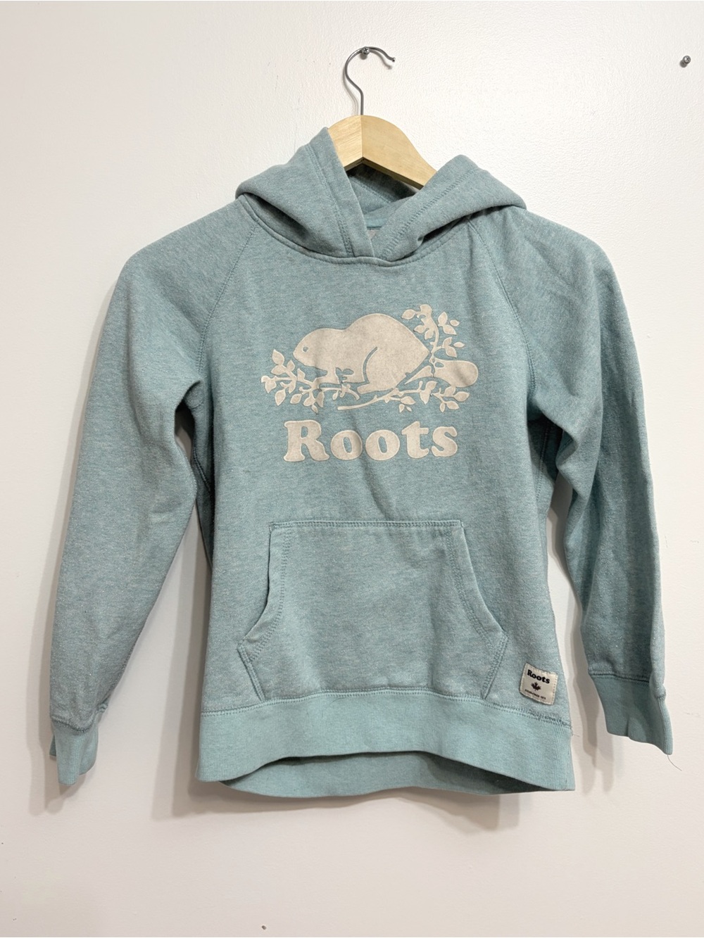 Roots Kids' Light Teal Hoodie | Size 9-10Y
